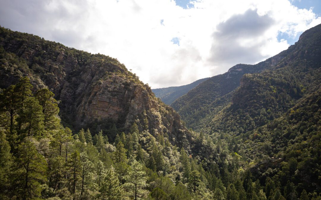 Escapada activa de fin de semana en Sierra Vista, Arizona
