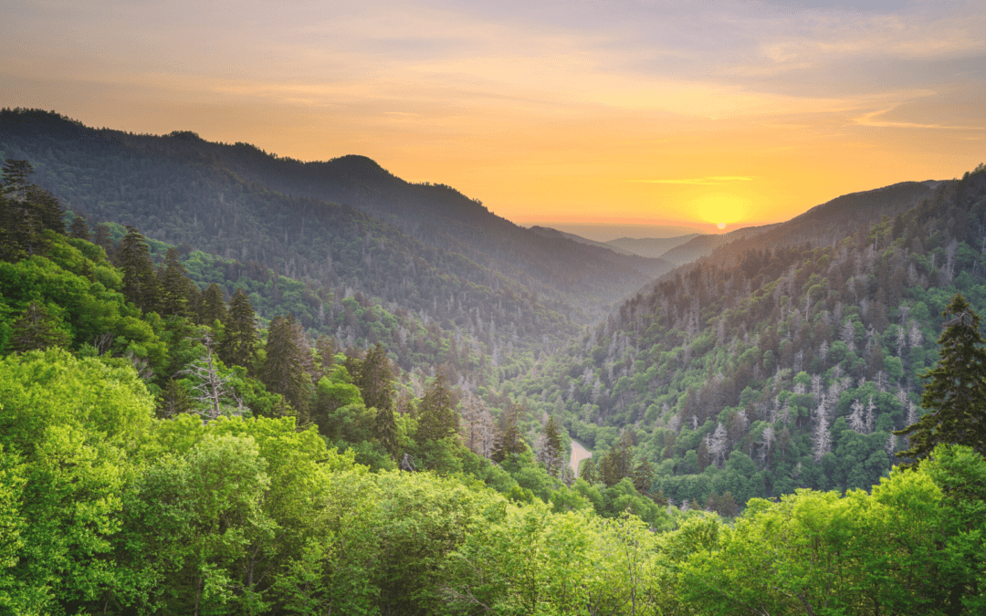 Southeastern National Parks