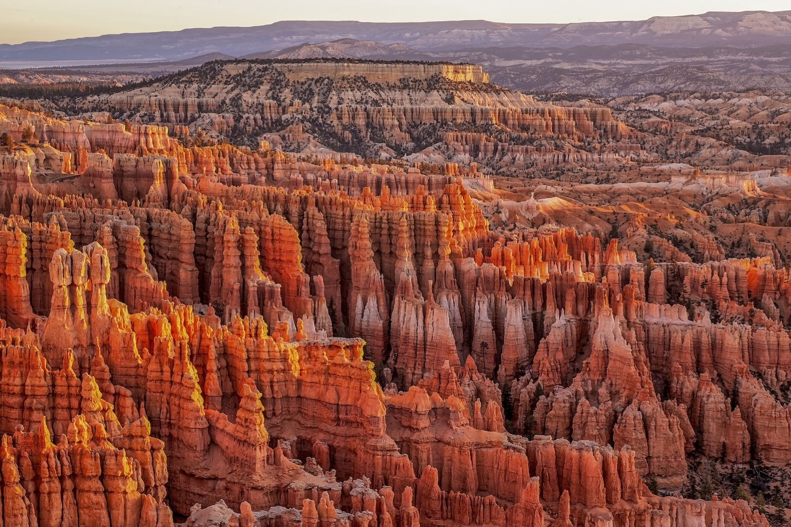 The red hoodoos of Bryce Canyon National Park at sunset.