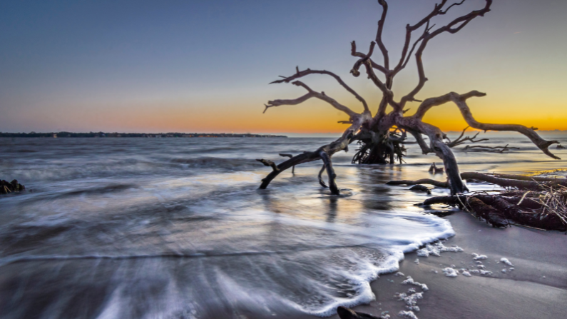 Georgia is a state without a national park