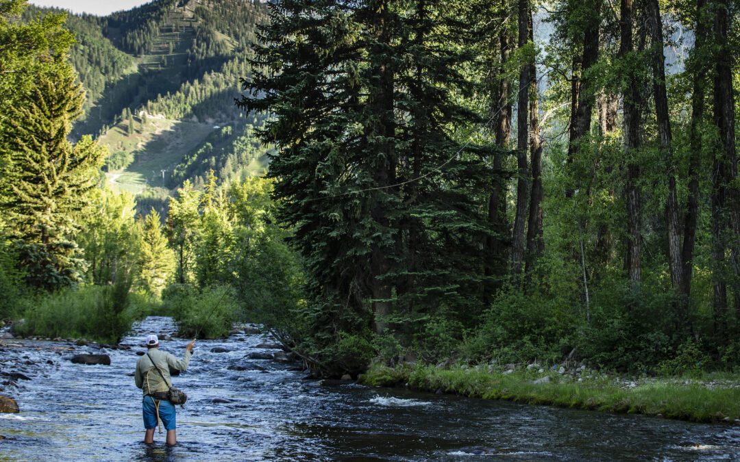 Finding (dis)connection in Aspen, Colorado