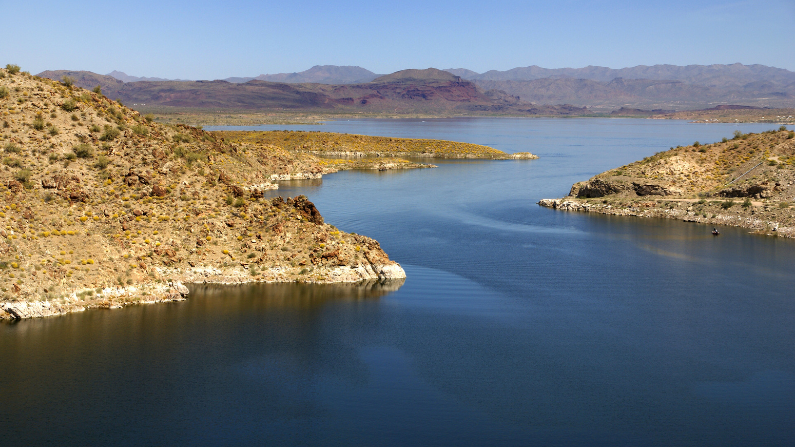 alamo lake state park
