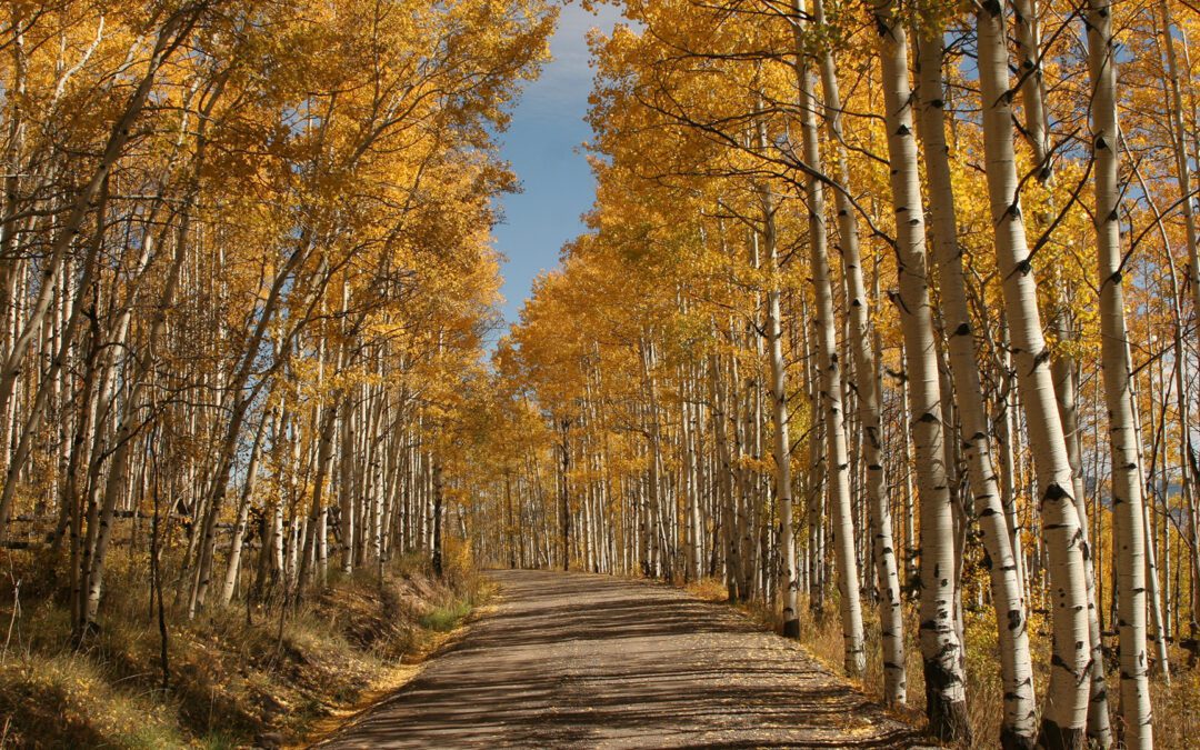 Dein Weg zum Abenteuer in Estes Park in diesem Herbst