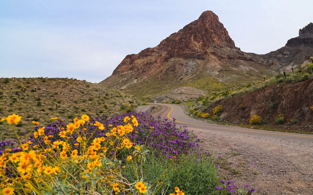 Ciclismo de montaña, superfloraciones y más en Kingman, Arizona