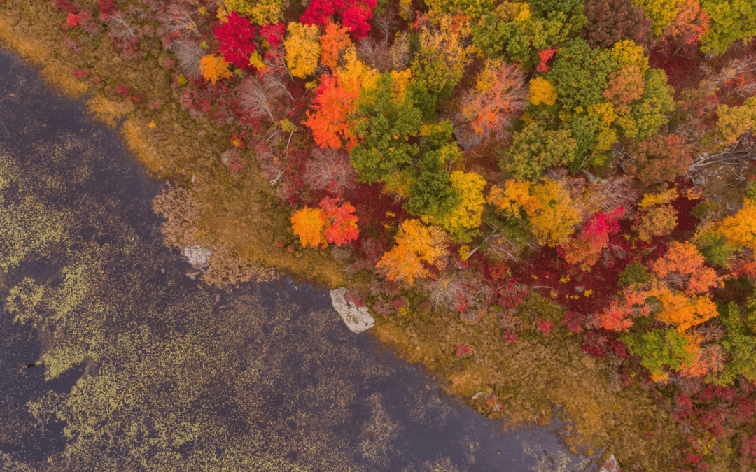 New England Fall Foliage Road Trip