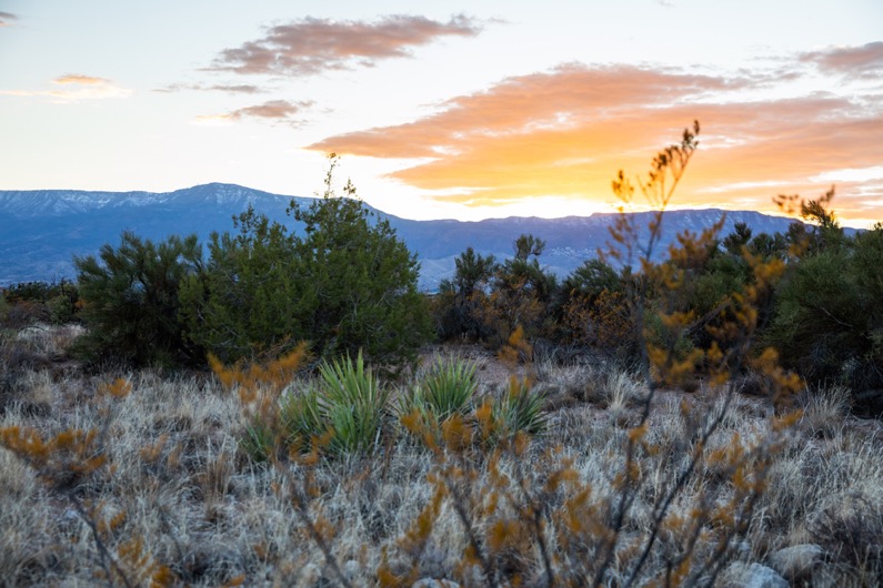 emily-sierra-arizona-cottonwood-dead-horse-ranch-state-park-sunset