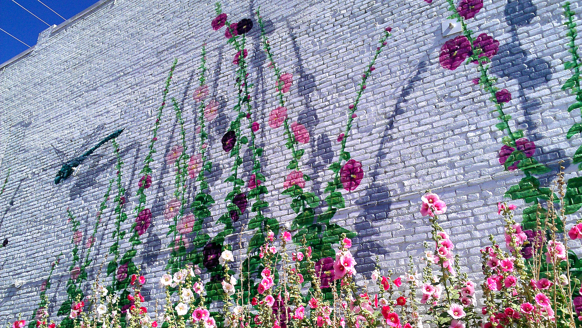 Laramie in the Summer