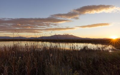 Fall in Love with Alamosa and the Great Sand Dunes