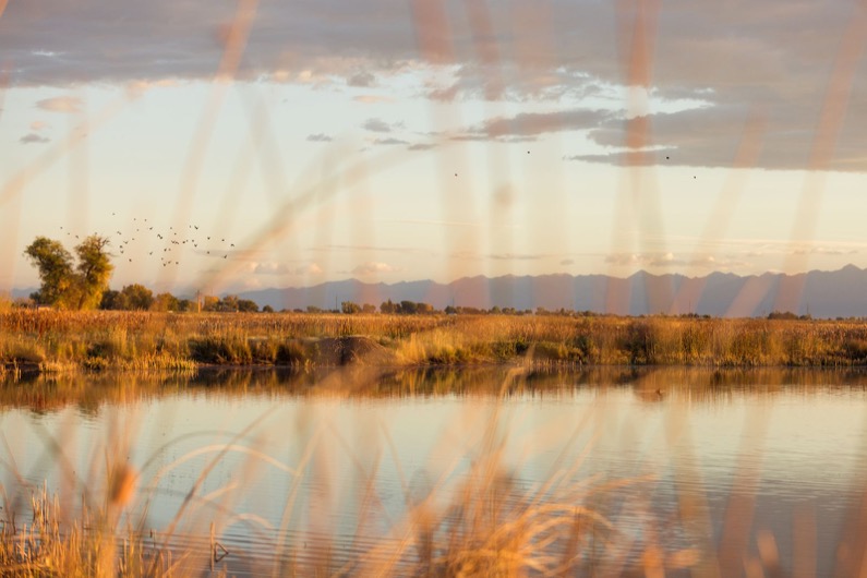 emily-sierra-alamosa-wildlife-refuge-sunrise (6)