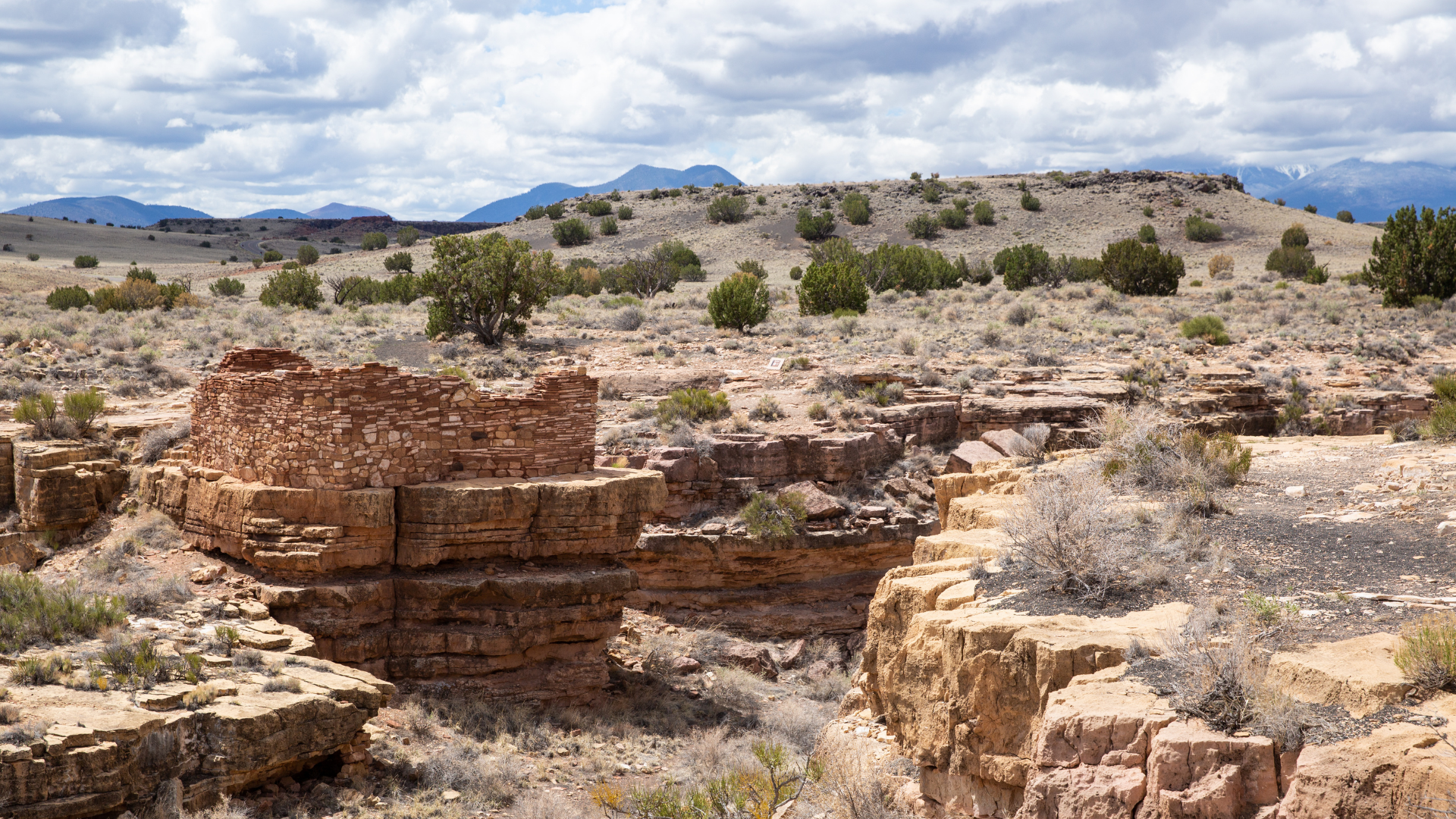 8 Things to Do in Flagstaff, Arizona