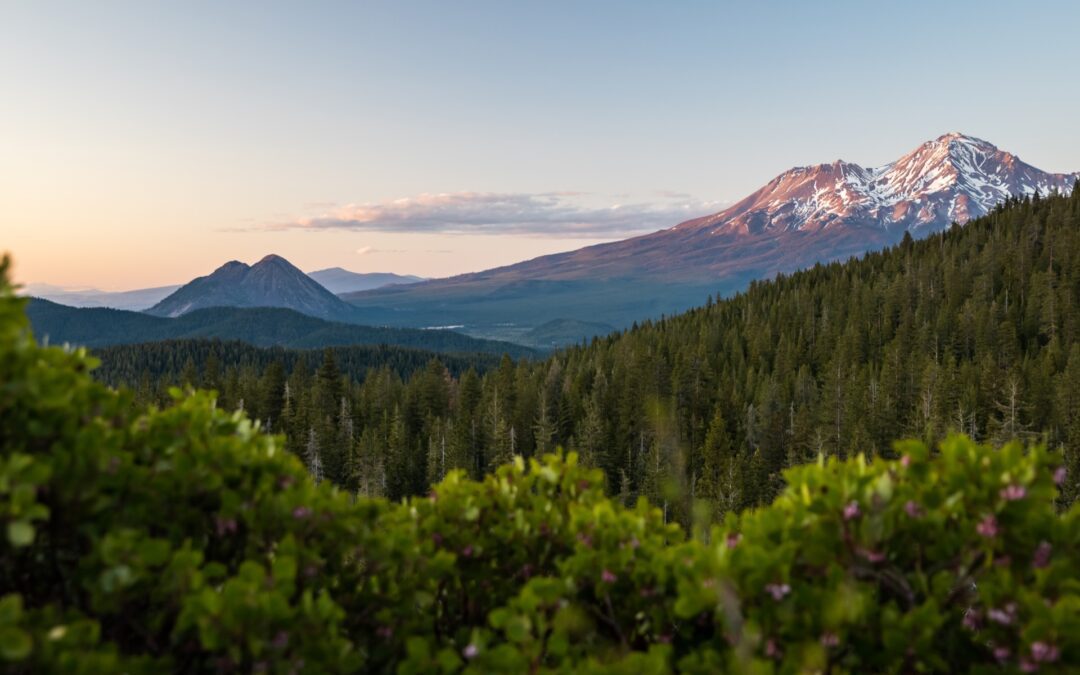Redding, California: Del centro al exterior en menos de 60 minutos