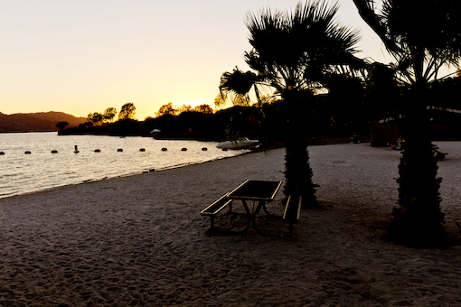 Evening shore with palm trees and picnic table at Cattail State Park, Arizona