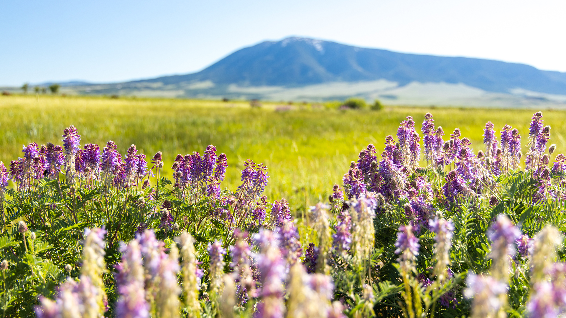 Hidden Corners of Carbon County, Wyoming