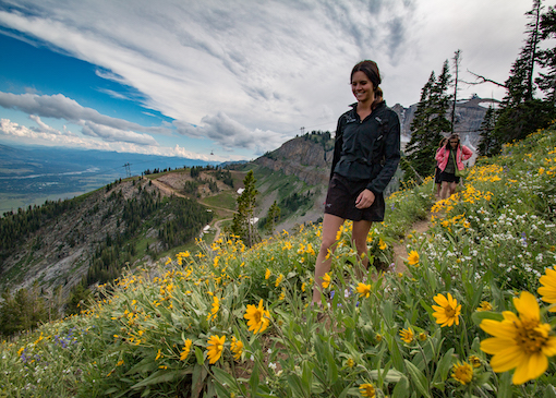Woman hiking at Jackson Hole Mountain Resort in the summer