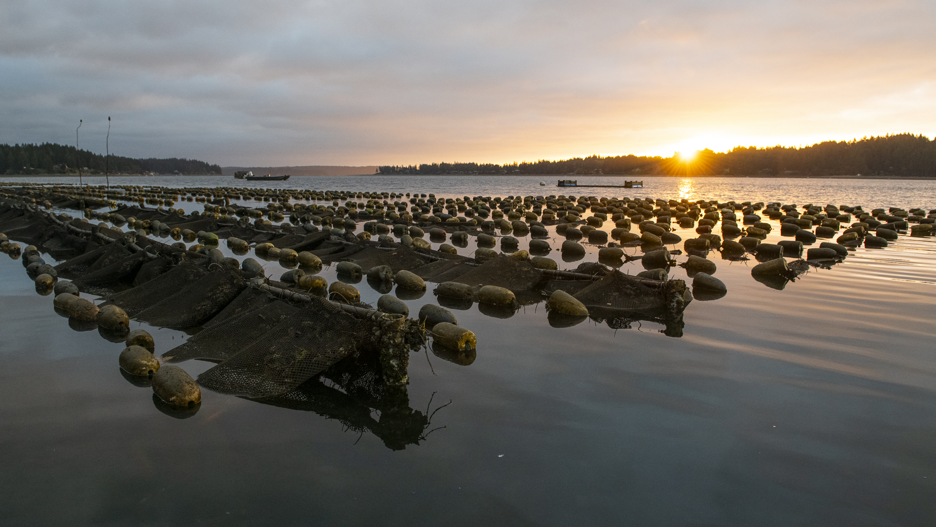 Hike, Paddle and Eat Your Way Around Olympia, WA
