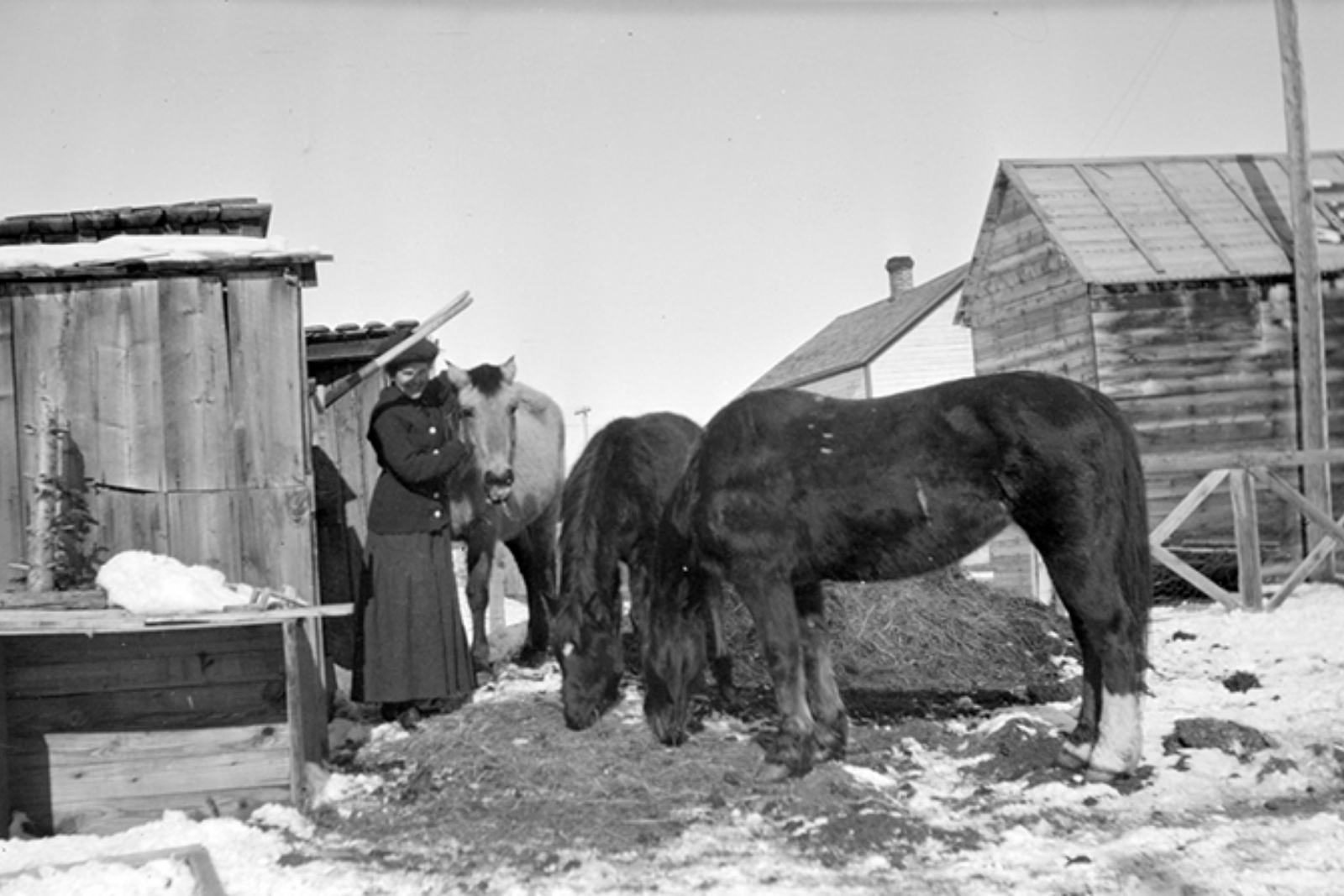 Black and white photo of a woman with a horse