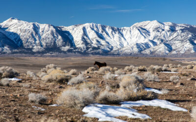Carson Valley, Nevada: Calling Me Back to the Mountains