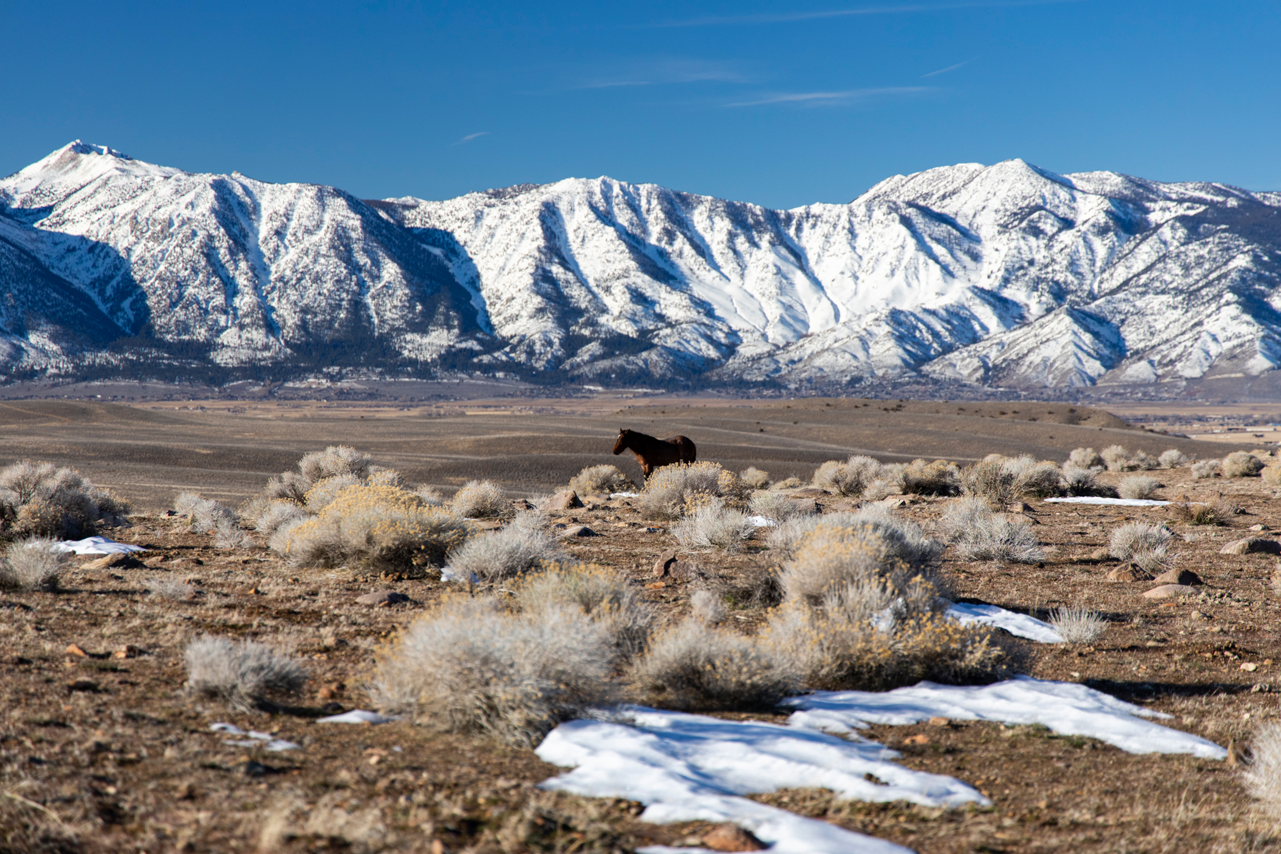 Carson Valley, Nevada: Calling Me Back to the Mountains