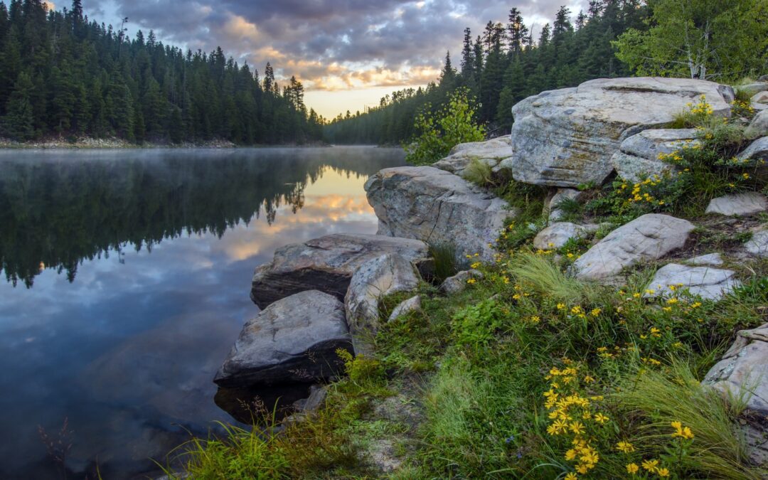 Appreciate AZ with the Whole Family