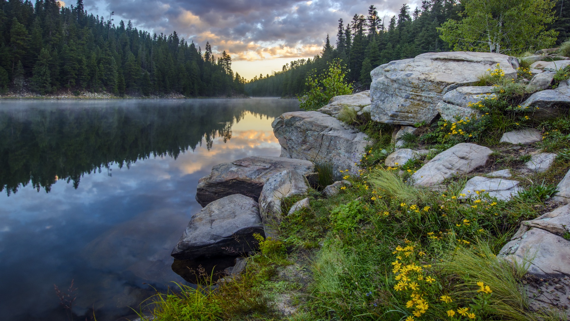 Appreciate AZ with the Whole Family