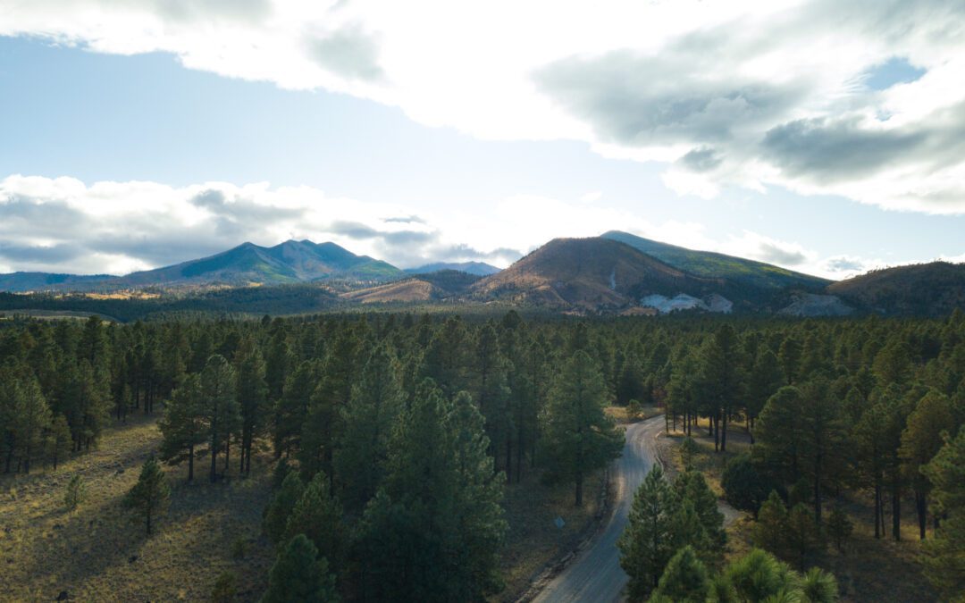 3 Days Hiking and Exploring Flagstaff