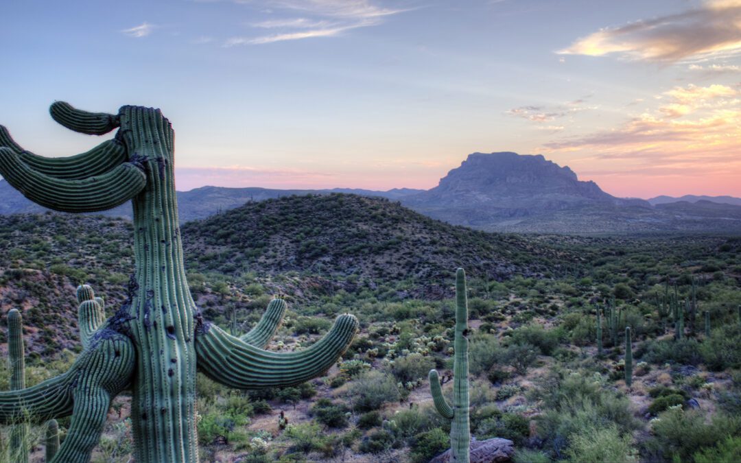 Tres días en Superior, Arizona