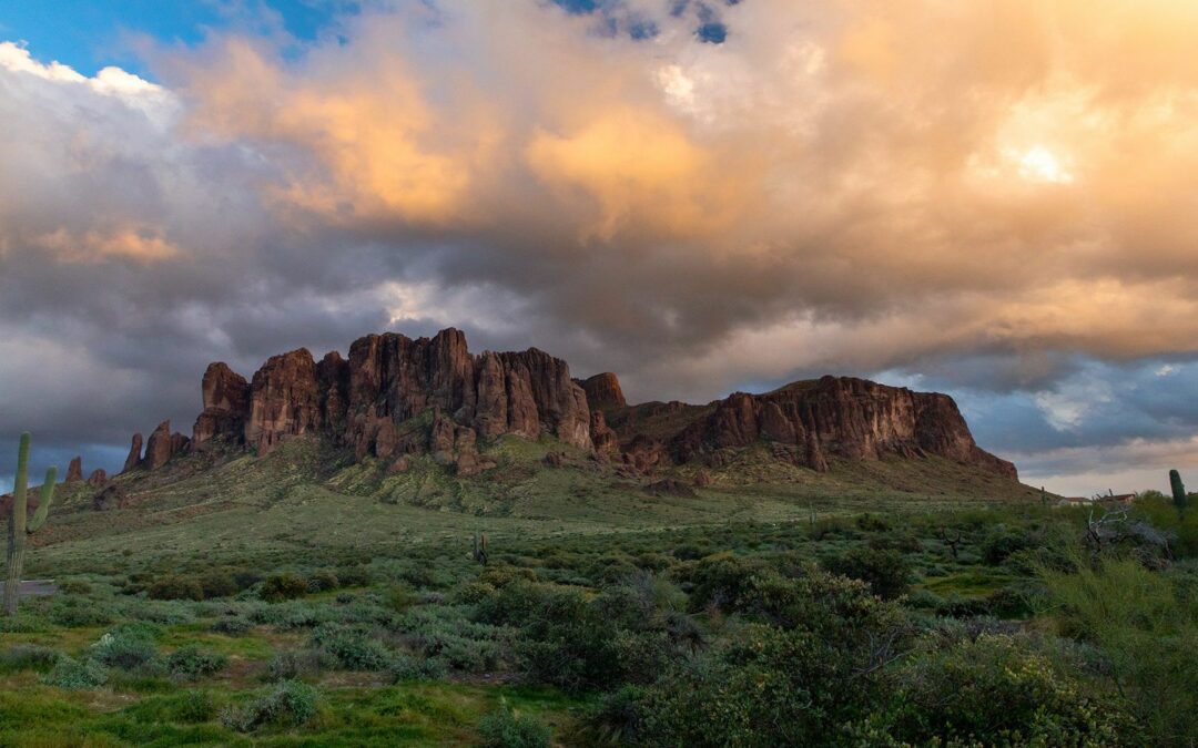 Des cactus aux cavernes : Les parcs d&rsquo;État du sud-est de l&rsquo;Arizona