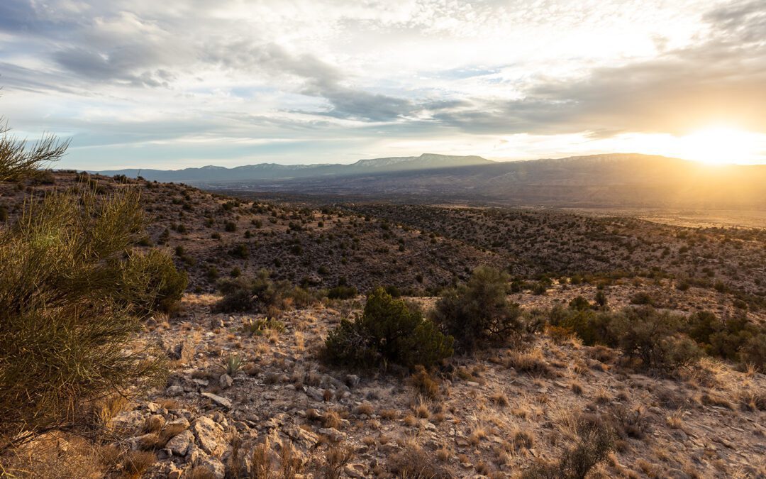 Entdecke Weinberge, Geschichte und die Natur in Cottonwood, Arizona