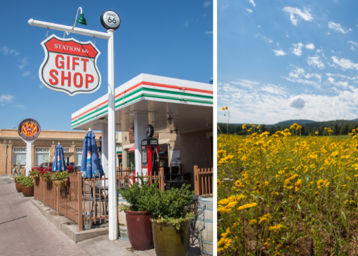 A Gift Shop in Williams, Arizona and a field of wildflowers