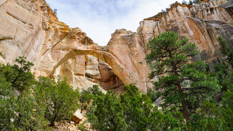 A stone arch towers above trees at El Malpais National Monument