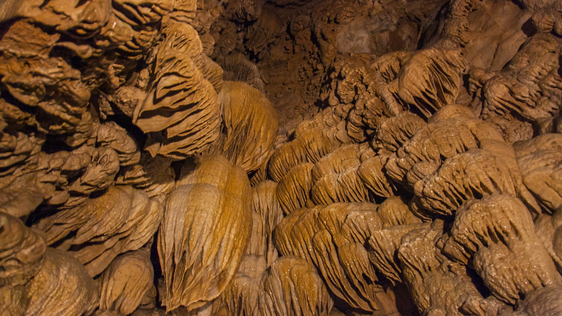 A formation inside a cave at Oregon Caves National Monument