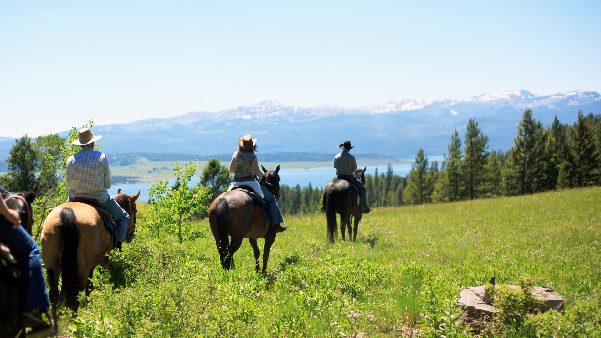 Horseback Trail Riding in America’s National Parks