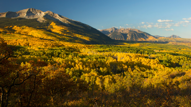 fall colors in Colorado