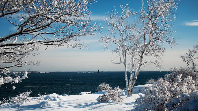 Portland, Maine is a great place to visit in Winter
