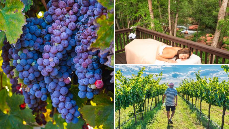 Collage of luxurious experiences including vineyards and massages in Arizona