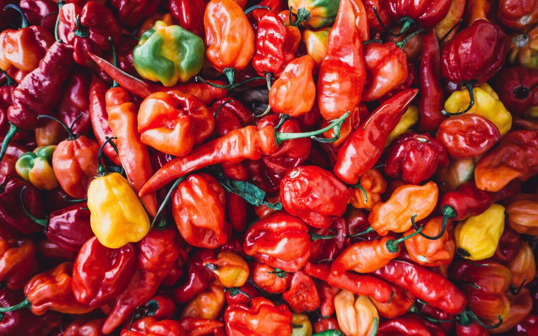 Journey Through the Flavors of Arizona