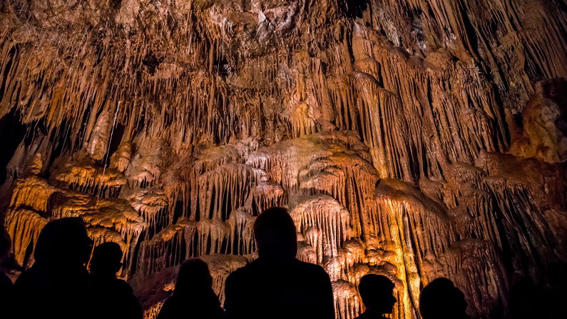Voyage dans le sud de l&rsquo;Arizona State Park