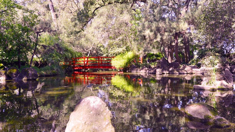 Japanese Garden Bridge in California's Central Valley