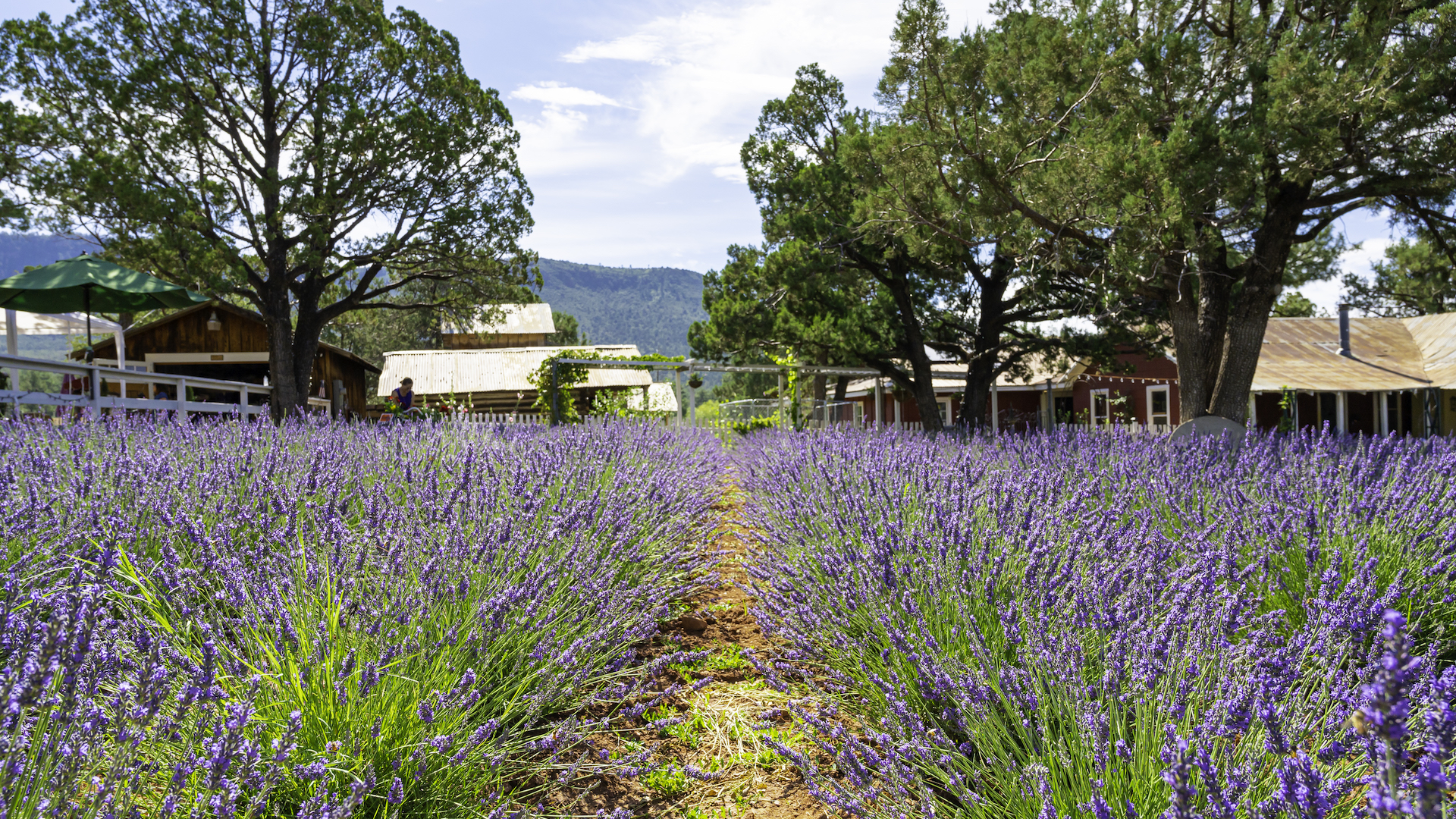 A Weekend of Wellness in Sedona, Arizona