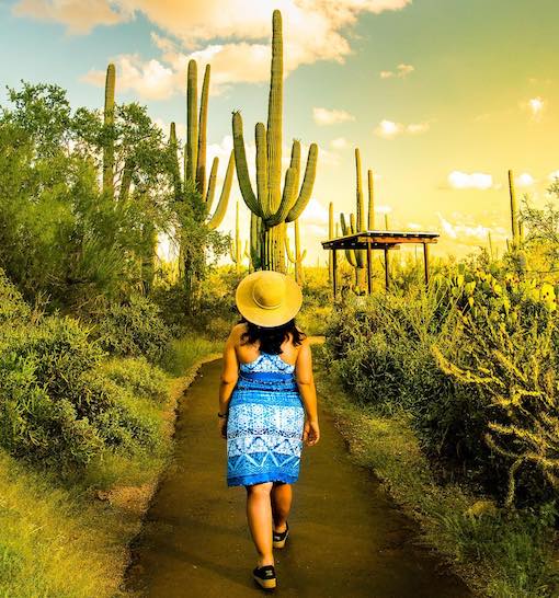 Saguaro National Park_IG-sasidharan.periaswamy