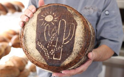 Three Days In Arizona: Where Epic Food and Adventure Meet