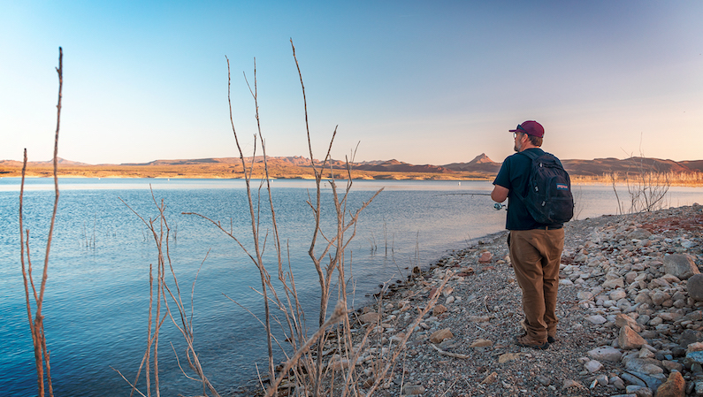 Person shore fishing at Alamo Lake State Park