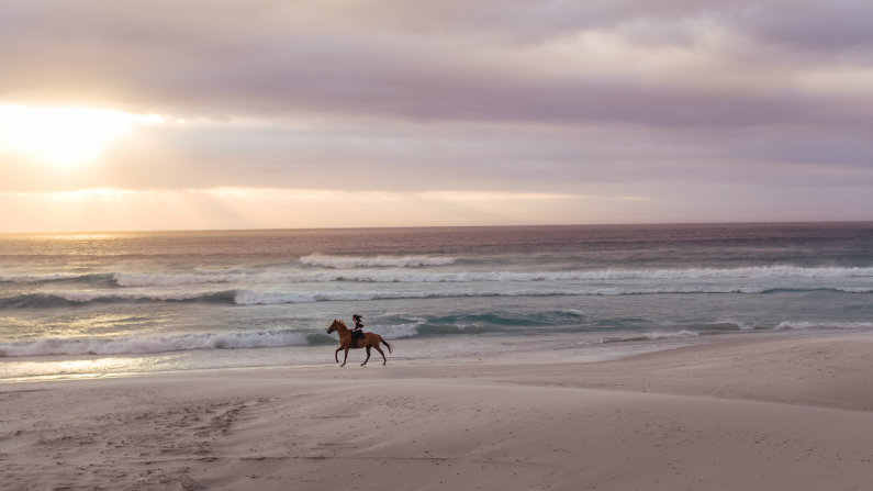 horseback riding is a great outdoor date idea