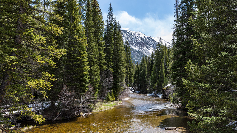 Sightseeing in Aspen, CO