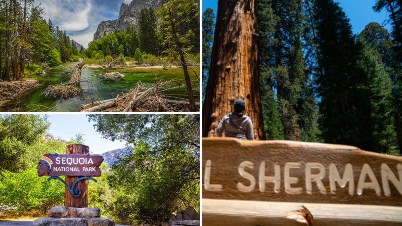 Images from Sequoia National Park and Kings Canyon National Park