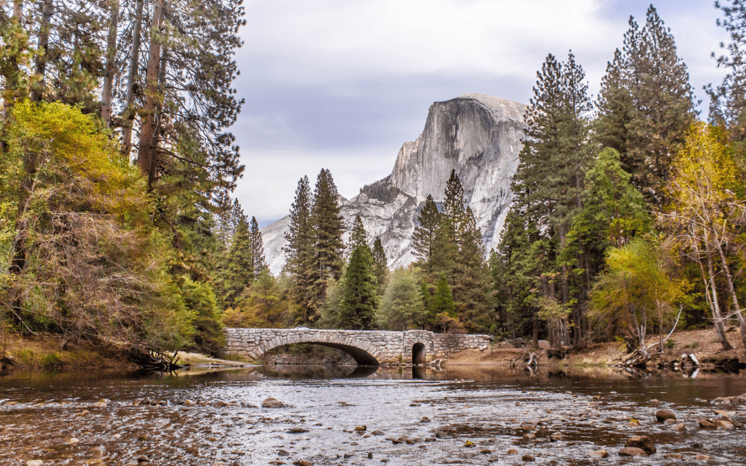Things to Do in Yosemite Year-Round