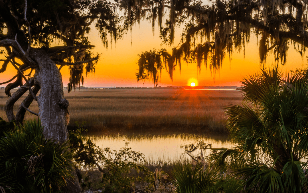 Best Audiobooks for Road Trips