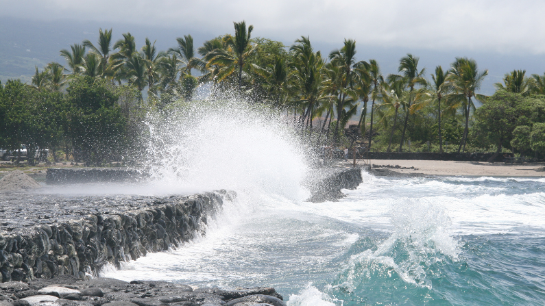 Indigenous hawaiian heritage 