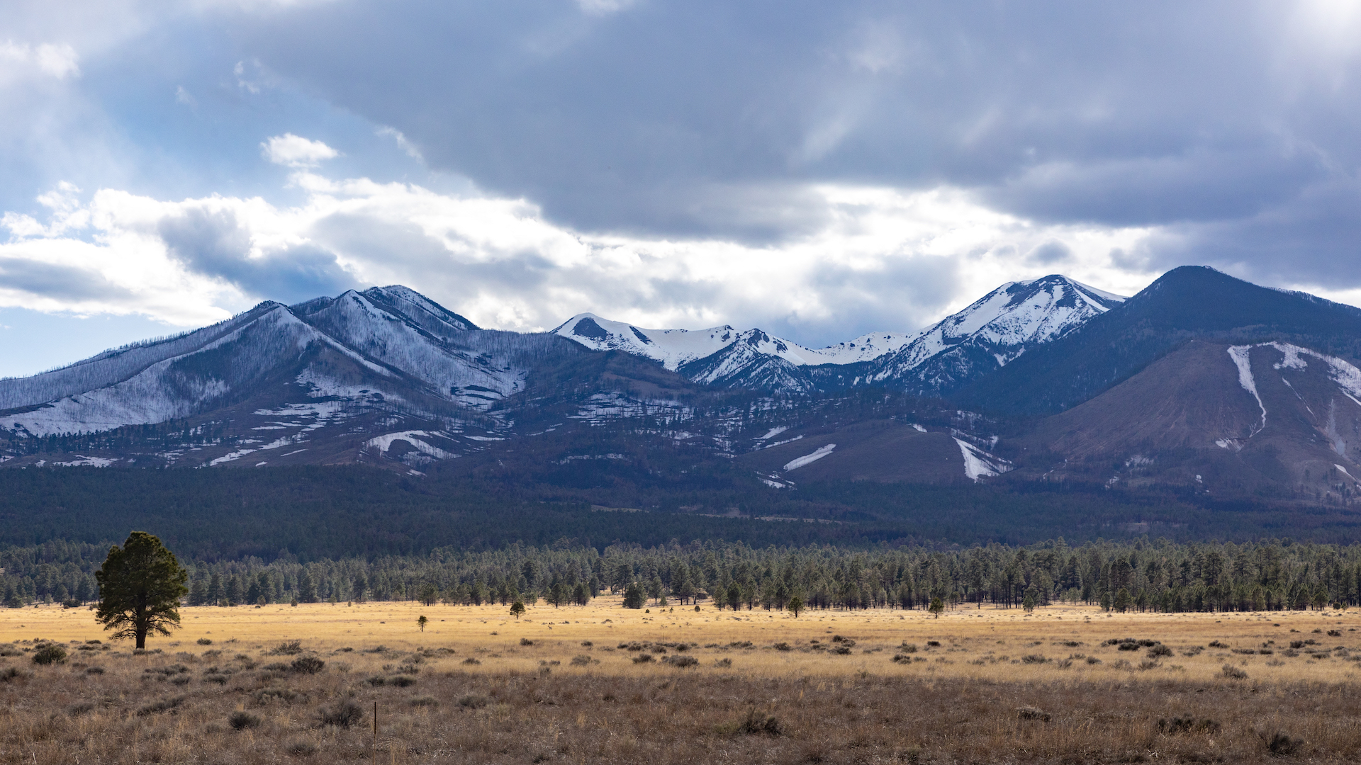 Enjoy the Dark Skies and Vibrant Community of Flagstaff, Arizona