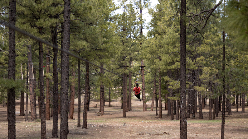 Ziplining in Flagstaff